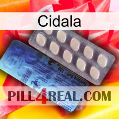 Cidala 34